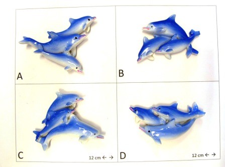 Calamita Magnete Frigo Fridge Magnets  dolphins  DELFINO TRIS 