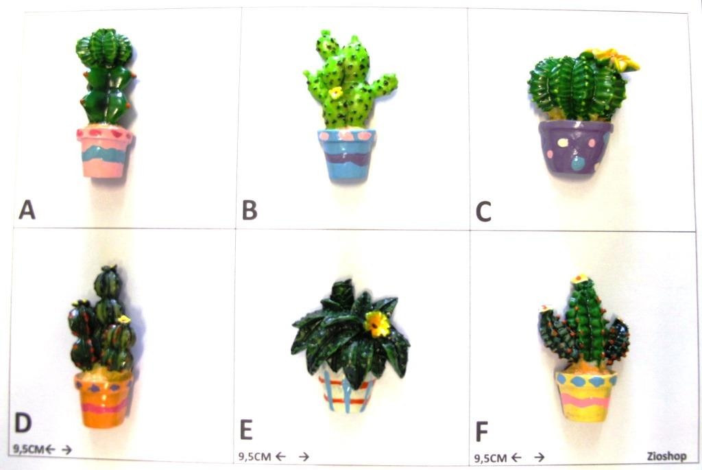 Calamita Magnete Frigo  Fridge Magnets  CACTUS MISTI  
