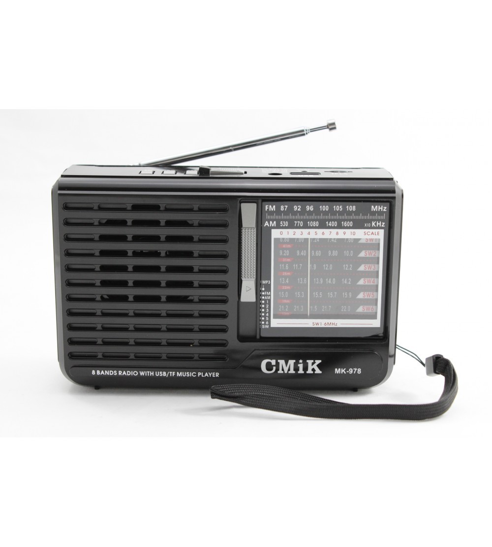 Radio Lettore Mp3 FM AM Altoparlante Portatile Audio Torcia Led
