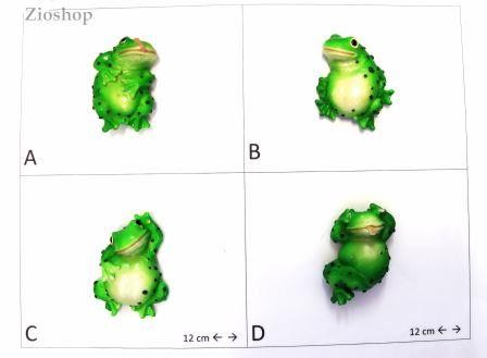 Calamita Magnete Frigo Fridge Magnets frogs  PICCOLE RANE