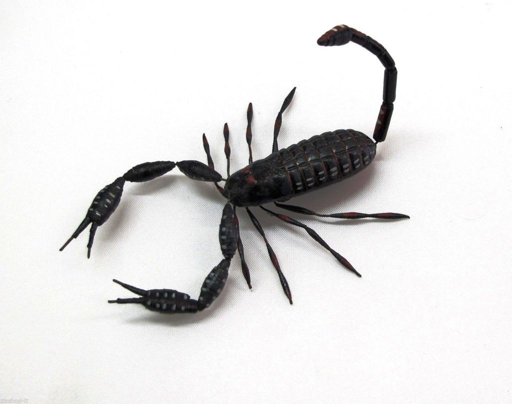 Calamita Magnete in Resina "Skorpion" Fridge Magnets SCORPIONE