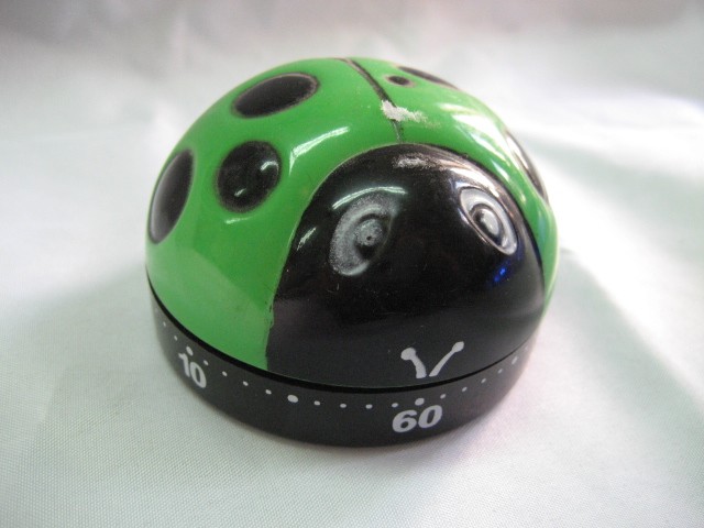 Timer Meccanico 60 minuti a Forma Di Coccinella Verde per Cucina e Hobby