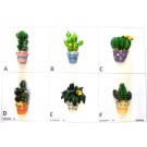 Calamita Magnete Frigo Fridge Magnets CACTUS MISTI