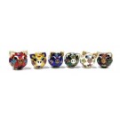 MAIALINO CLOISONNE 6 COLORI