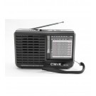Radio Lettore Mp3 FM AM Altoparlante Portatile Audio Torcia Led