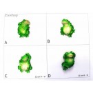 Calamita Magnete Frigo Fridge Magnets frogs PICCOLE RANE