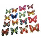 SET DI 6 FARFALLE CALAMITA MAGNETE; 6 PCS MAGNETS BUTTERFLIES