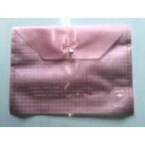 20 pezzi Cartellina Portadocumenti A4 in pvc con chiusura a clip