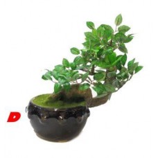 BONSAI, PIANTE ARTIFICIALI FINTE VASO IN CERAMICA SMALTATA VARI MODELLI