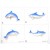 Calamita Magnete Frigo Fridge Magnets dolphin  DELFINO SINGLOLO