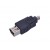 ADATTATORE  FIREWIRE 1394  6F/4M