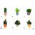 Calamita Magnete Frigo  Fridge Magnets  CACTUS MISTI  
