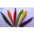 6 X PENNA CALAMITA FRIGO VERDURA FRIDGE MAGNET PEN VEGETABLES  VARI MODELLI