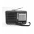 Radio Lettore Mp3 FM AM Altoparlante Portatile Audio Torcia Led