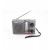 Mini Radio Portatile Bluetooth Ricaricabile Fm Mp3 Usb Microsd Torcia Led