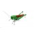 Calamita Magnete in Resina Cavalletta Fridge Magnets GRASSHOPPER