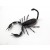 Calamita Magnete in Resina "Skorpion" Fridge Magnets SCORPIONE