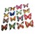 SET DI 6 FARFALLE CALAMITA MAGNETE; 6 PCS MAGNETS BUTTERFLIES.