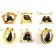 CALAMITA MAGNETE FRIGO RESINA PORTAFORTUNA SWEET MONKYES ;FRIDGE MAGNETS