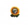 Calamita da Frigo Magnete Souvenir Resina"SORRENTO GIRASOLE" Fridge Magnet Italy