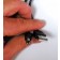 Cavo Adattatore di alimentazione da USB a 5,4mm Barrel Jack 5V DC 