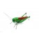 Calamita Magnete in Resina Cavalletta Fridge Magnets GRASSHOPPER