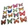 SET DI 6 FARFALLE CALAMITA MAGNETE; 6 PCS MAGNETS BUTTERFLIES