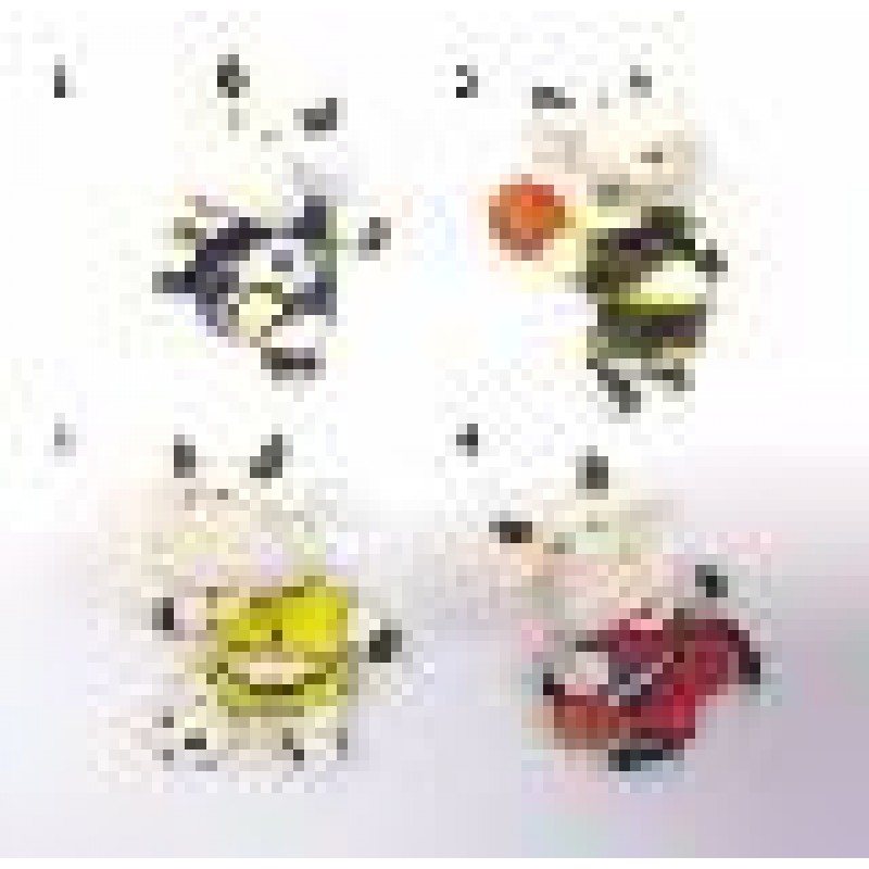 CALAMITA MAGNETE FRIGO RESINA PORTAFORTUNA MUCCA SPORT ;FRIDGE MAGNETS