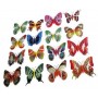 SET DI 6 FARFALLE CALAMITA MAGNETE; 6 PCS MAGNETS BUTTERFLIES.